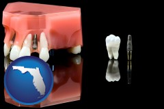florida map icon and a titanium dental implant and wisdom tooth