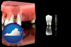 virginia map icon and a titanium dental implant and wisdom tooth